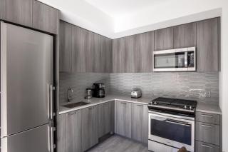 West Loop studio w wd gym lounge nr L CHI-773 - Chicago - 6