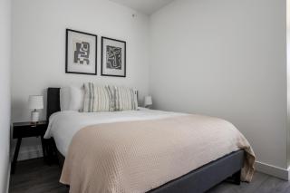 West Loop studio w wd gym lounge nr L CHI-773 - Chicago - 4