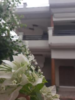 PAARIJAAT Homestay & Guesthouse - Ayodhya - 1