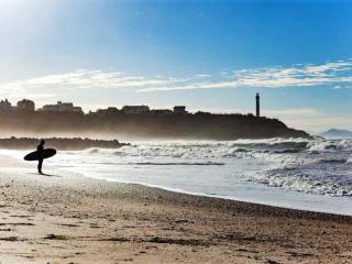 Bel Apt Moderne, 1 Chambre, Balcon, Ascenseur, Parking, Proche Commerces, 10 min Plages - FR-1-3-521 - 6