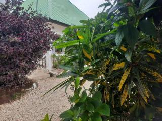 AMESbungalows - Nungwi - 6