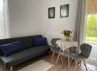 Villa Marzenie Pokój 2 osobowy - Wdzydze Kiszewskie - 9