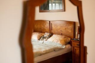 KONAK - Pleternica - 5