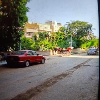 Samar Pyramids - Guest House - Il Cairo - 8