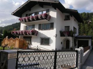 Haus Kröll - Mittersill - 0
