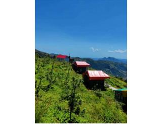 Manav Hill Resort Hotel, Sirmaur - 7