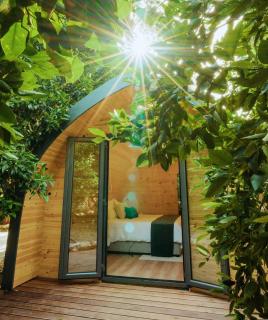 Secret Forest - Wellness Retreat & Healing Spa - Miliou - 9