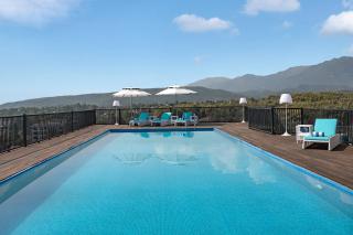 Hyatt Centric Rajpur Road Dehradun - 9