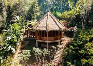 Bali Jungle Taksu - Tampaksiring - 0