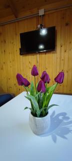 Cabañas Antawara Uspallata - 7