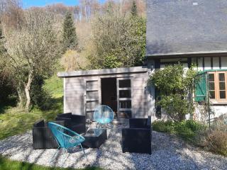les orchidees sauvages - Touffreville-la-Corbeline - 8