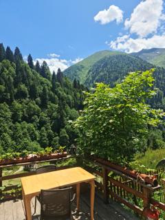 Yayla Bungalov - Ayder Yaylasi - 3
