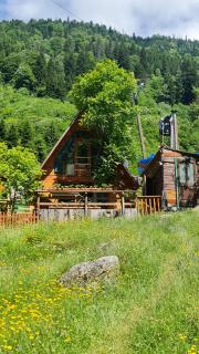 Yayla Bungalov - Ayder Yaylasi - 9