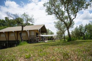 Glamping Umbria - Bevagna - 1