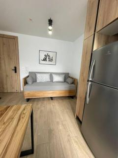 Lindo e iluminado apartaestudio en La Carolina - 9