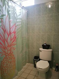 Excellent 1 Bed Apt next to downtown great views! - Zihuatanejo - 3