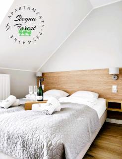 Apartamenty Prywatne w Stegna Forest - Stegna - 6