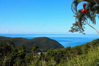 Beausejour Guest House - Pointe-Noire - 3