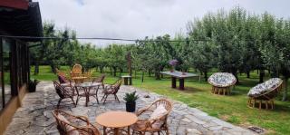COSMA HOUSE - Hinojedo - 5