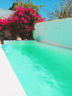 Villa Buganvillas, relax con piscina privada a pocos minutos de la Barrosa y Santi Petri - Chiclana de la Frontera - 2