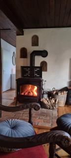 Ferienhaus am Haff - 1