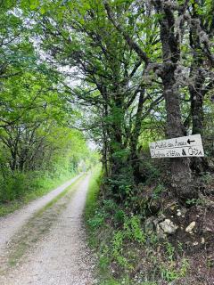 Le Priolat des Anges aux portes des gorges du Verdon - Trigance - 7