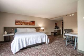 Hilton Garden Inn Mankato Downtown - 3