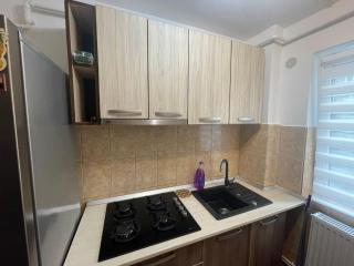 Apartament 1 - Haţeg - 4
