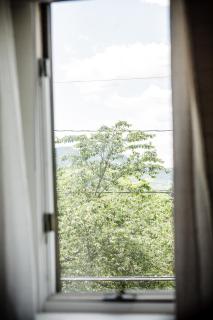 Fairytale Loft Suite 1 bed, 1 bath Luxury Apartment in Downtown Belmont - Charlottesville - 1