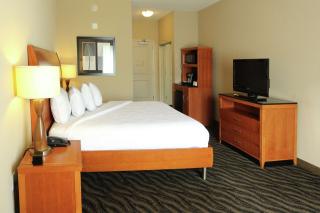 Hilton Garden Inn Chesapeake/Suffolk - Suffolk - 3