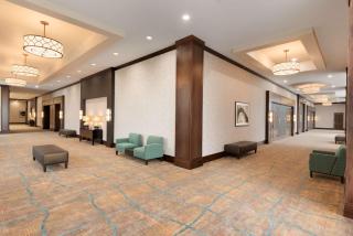 Embassy Suites by Hilton Chicago Naperville - Naperville - 7