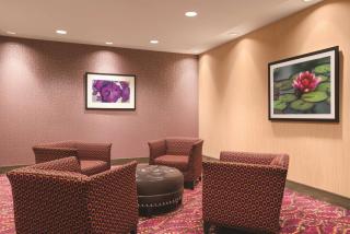 Homewood Suites by Hilton Ankeny - Ankeny - 5
