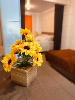 Residenciais Maria Flor - Gramado - 9