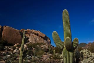 Boulders Resort & Spa Scottsdale, Curio Collection by Hilton - Scottsdale - 9