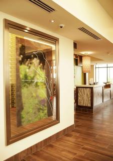 Hilton Garden Inn San Antonio-Live Oak Conference Center - San Antonio - 3