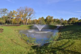 Hampton Inn & Suites Ann Arbor West - 5