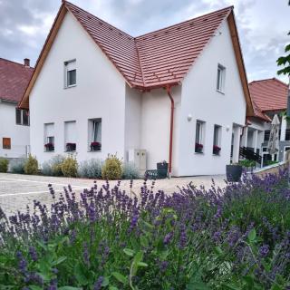 Domb Apartmanok - Sukoró - 9