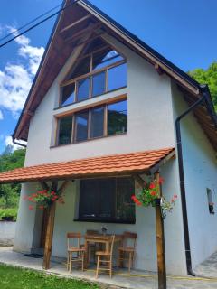 Antić apartmani Stara planina - Crni Vrh - 0
