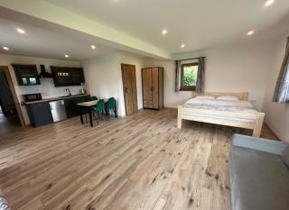 Apartamenty JEDYNOCKA Śmiechówka - 6