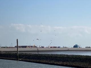 Lütje Huus am Meer - 1