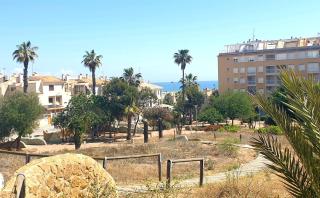 Apartamento Parque Sur - Guardamar del Segura - 9