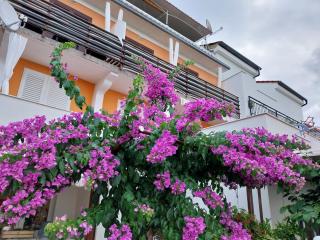Apartment Milica - Rab - 1