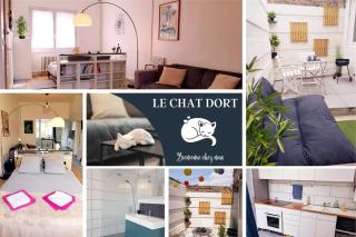 Le Chat d'Or - 35m2 - Terrasse - BBQ - WIFI HD - Amiens - 9
