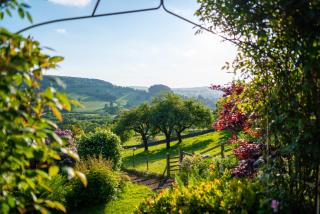 Hillside Haven, panoramic views Nr Bakewell - Great Rowsley - 7