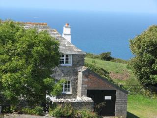 Barton Cottage - Bude - 0