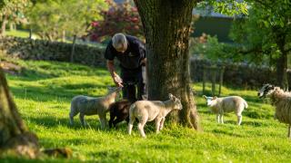 Hillside Haven, panoramic views Nr Bakewell - 5