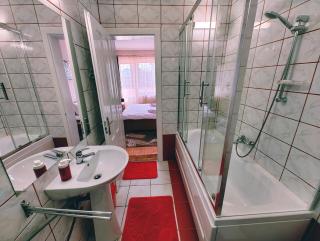 Ten's Apartment - spatios si linistit - Cluj-Napoca - 6
