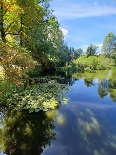 Waldblick - Cavertitz - 3
