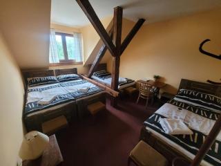 Hotel Max Šimek - Ostrava - 4