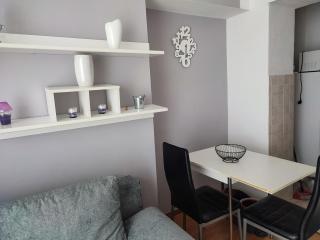 Fami Superior One Bedroom Apartment - Rijeka - 2